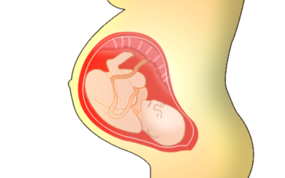 De invloed van stress op het ongeboren kind